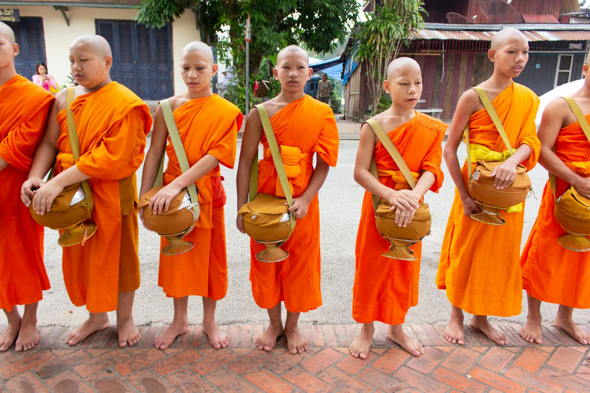 Witness serenity on Laos Tours